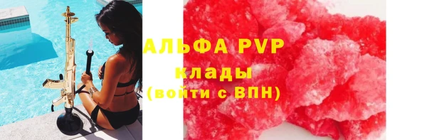 spice Алзамай