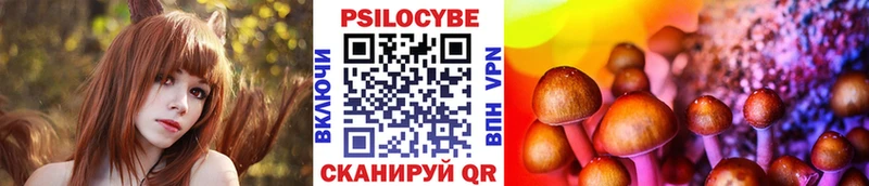 дарнет шоп  Дедовск  Галлюциногенные грибы мицелий 